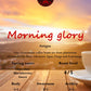 Morning Glory - Blends